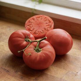 Chef's Choice Pink, (F1) Tomato Seeds